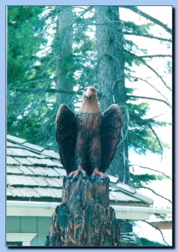 2-22 eagle  perched, half-spread wings-archive-0001